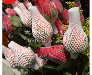 玫瑰花网套